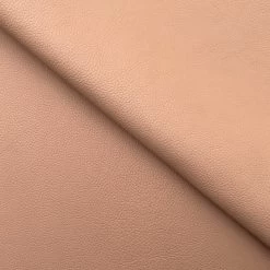 C22B00018 | Large Grain Young Bull Leather