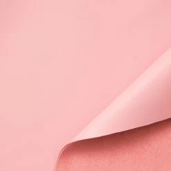 C24BV0021 | Satinated Supple Calf -Nona Source Shop C24BV0021 PinkDolphin 01