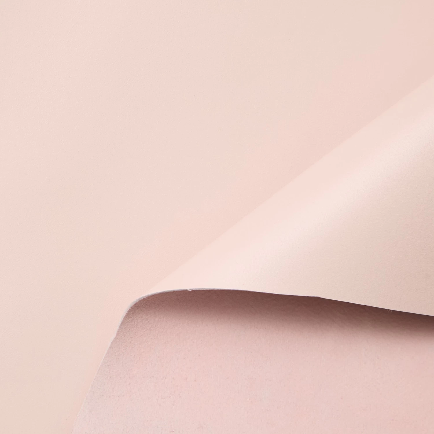 C24CL0174 | Full Grain Satinated Nappa Lamb 5 C24CL0174 | Full Grain Satinated Nappa Lamb - Image 3