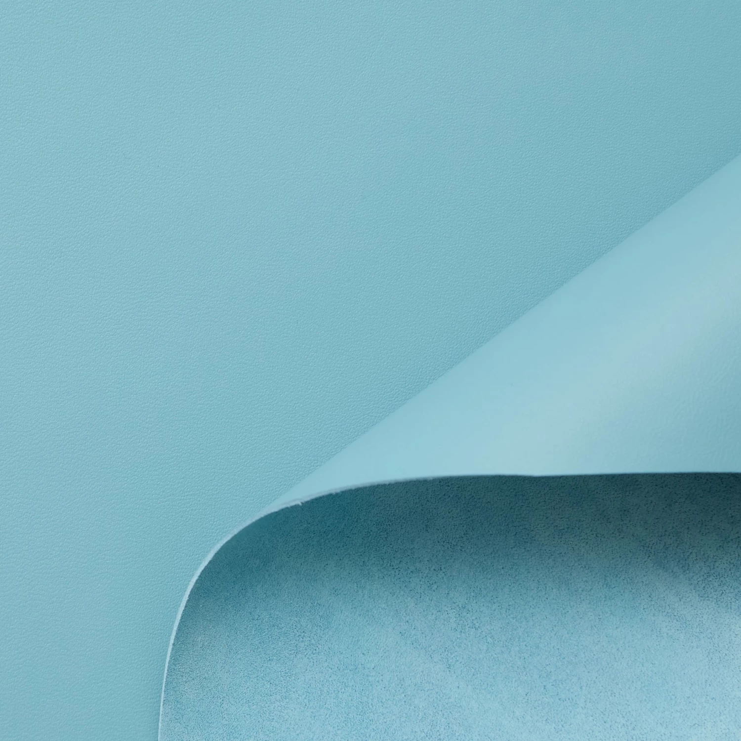 C24CL0174 | Full Grain Satinated Nappa Lamb 22 C24CL0174 | Full Grain Satinated Nappa Lamb - Image 20