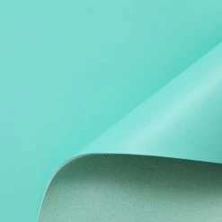 C24CL0174 | Full Grain Satinated Nappa Lamb 33 C24CL0174 | Full Grain Satinated Nappa Lamb -Nona Source Shop C24CL0174 Holiday 01