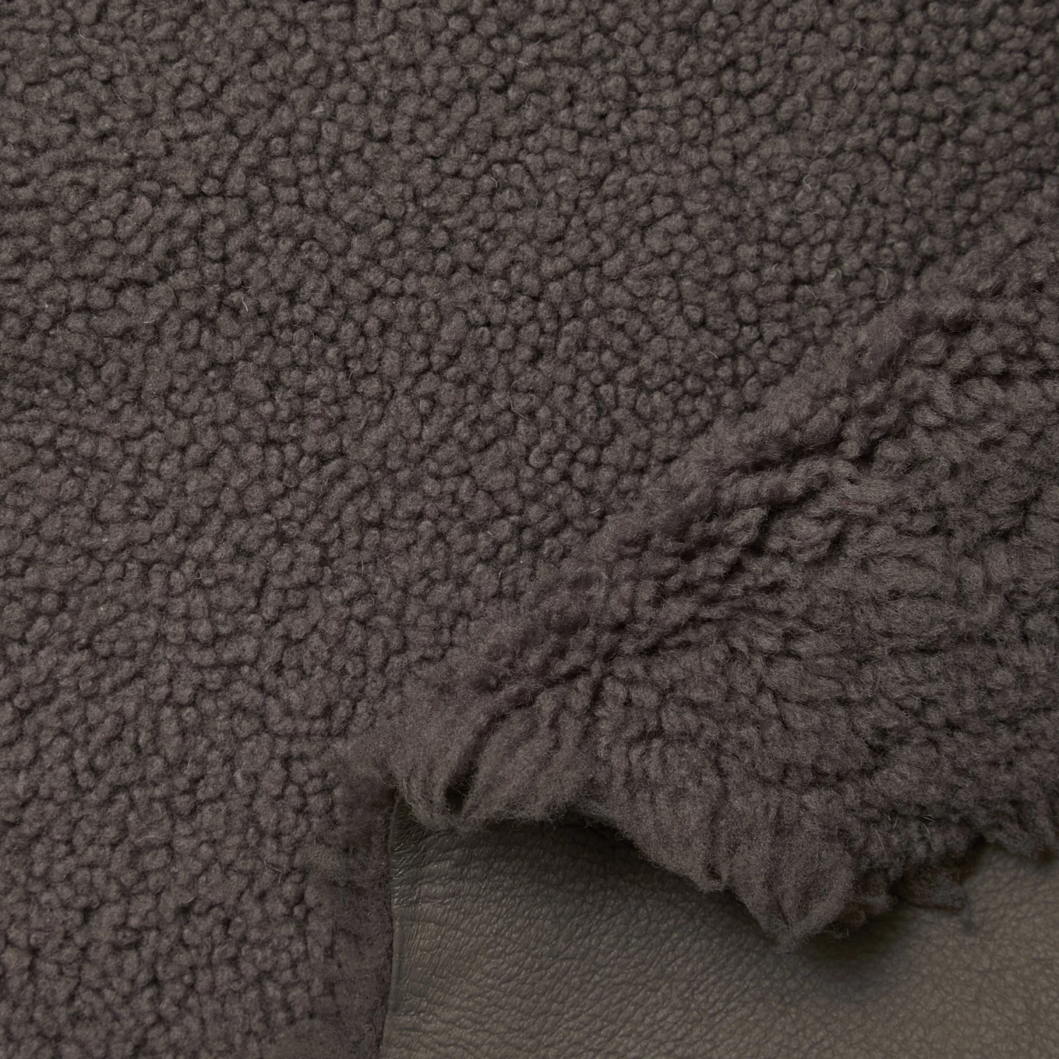 C24CS0181 | Curly Sheep Shearling 4 C24CS0181 | Curly Sheep Shearling - Image 2