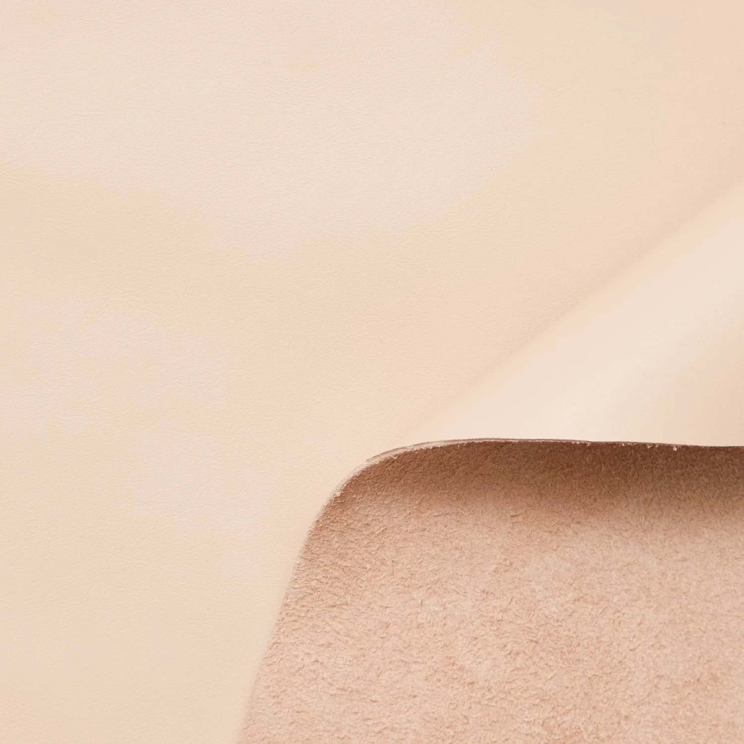 C24CV0189 | Mat Supple Nappa Calf 6 C24CV0189 | Mat Supple Nappa Calf - Image 4