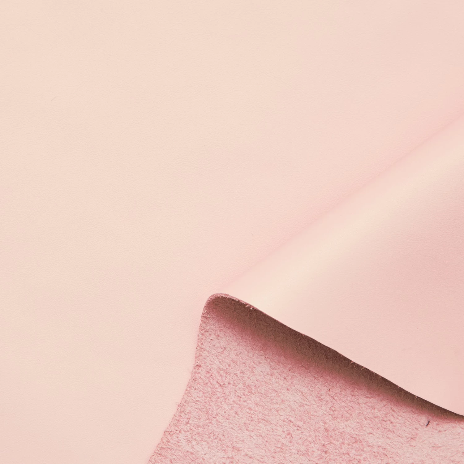 C24CV0189 | Mat Supple Nappa Calf 4 C24CV0189 | Mat Supple Nappa Calf - Image 2