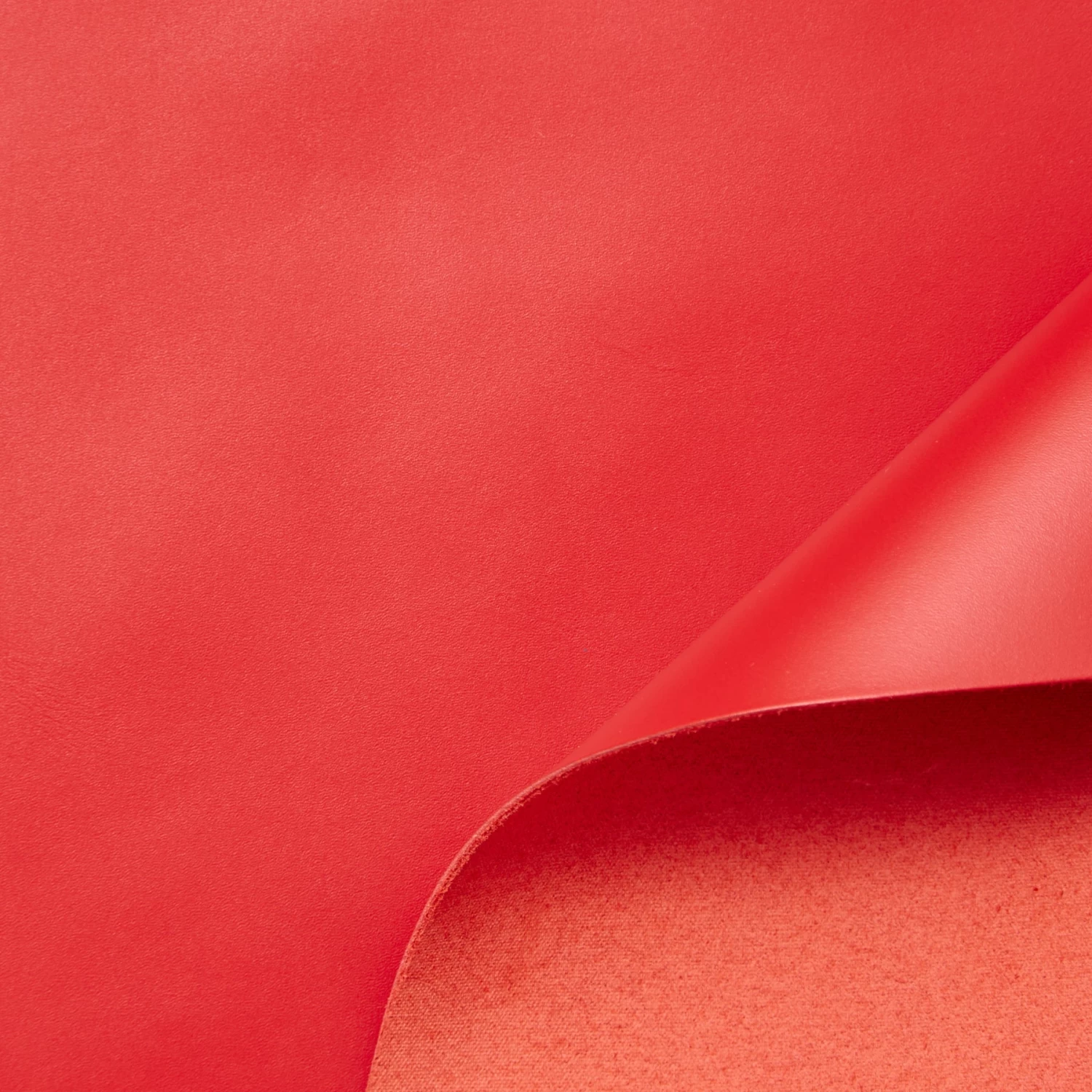 C24CV0197 | Stiff Mat Calf 10 C24CV0197 | Stiff Mat Calf - Image 8