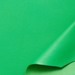 C24DG0001 | Full Grain Vegetable Tanned Goat -Nona Source Shop C24DG0001 DeepMint 01