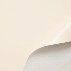 C24JC0138 | Shiny Box Calf -Nona Source Shop C24JC0138 Gardenia 01