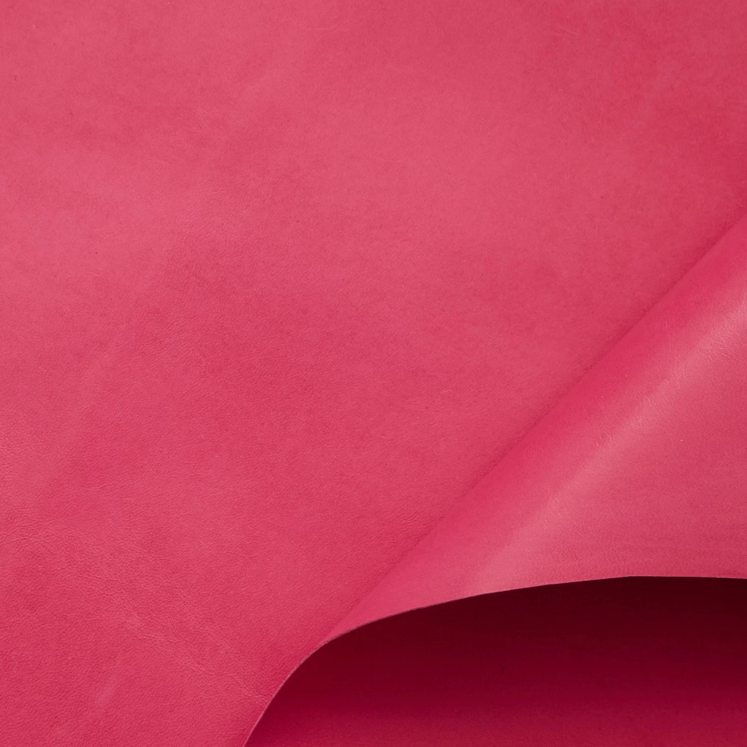 C24VL0079 | Full Grain Coated Nappa Lamb 3 C24VL0079 | Full Grain Coated Nappa Lamb