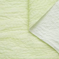 T20A00372 | Cloudy Cloque