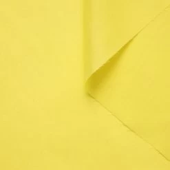 T21B00389 | Silk Pongee