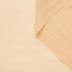 T21B00399 | Light Sheer Silk Georgette