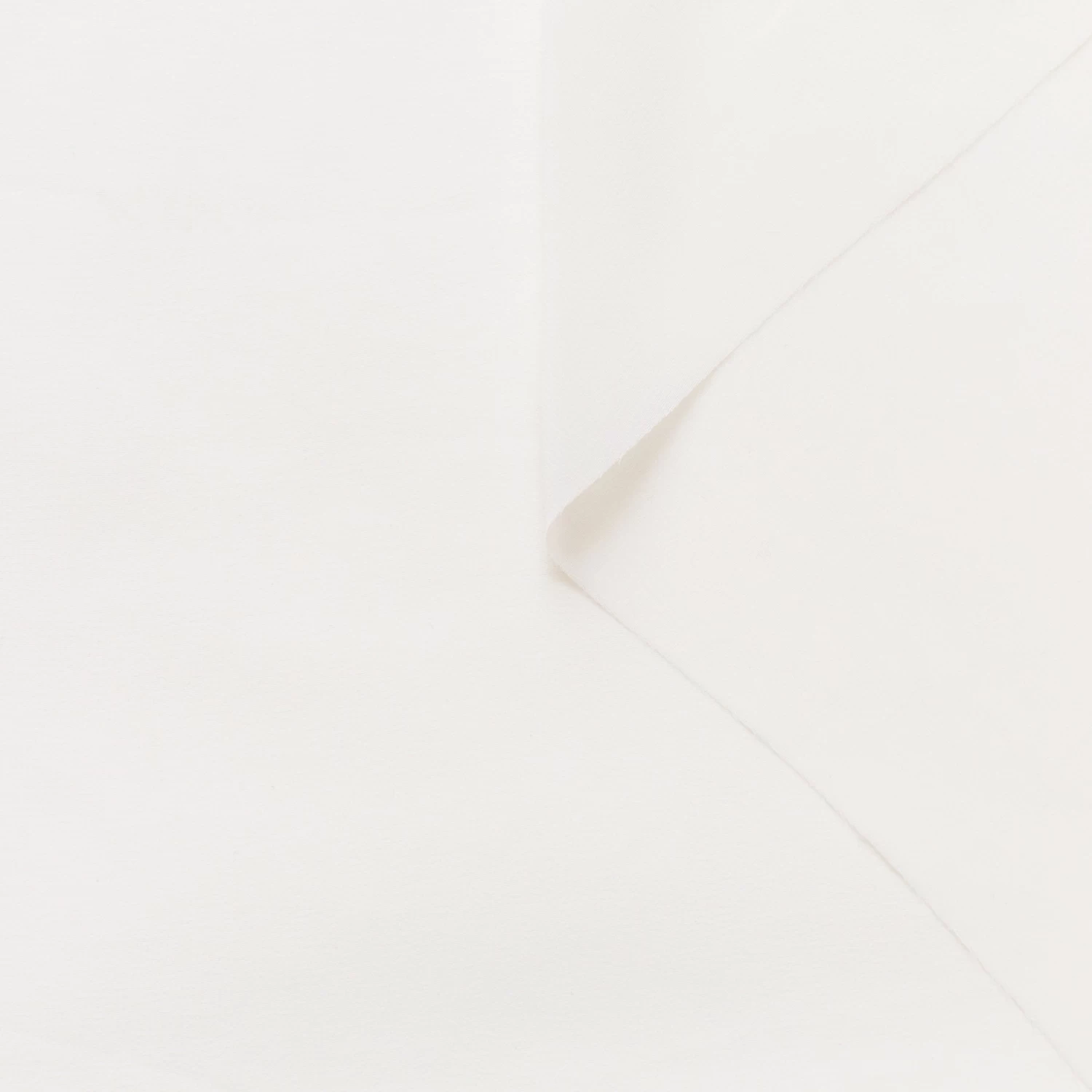 T21B00402 | Georgette Crepe 3 T21B00402 | Georgette Crepe