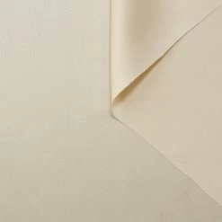 T22A01488 | Light Double Face Silk Satin