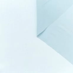 T22A02318 | Silk Georgette