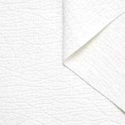 T22A02529 | Elephant Skin Coated Cotton -Nona Source Shop T22A02529 SnowWhite 01