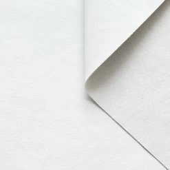 T22B03126 | Stiff Suede