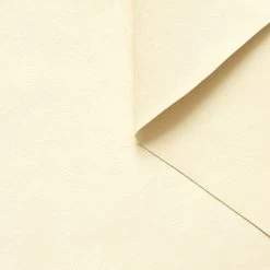 T22B03127 | Peach Skin Alcantara