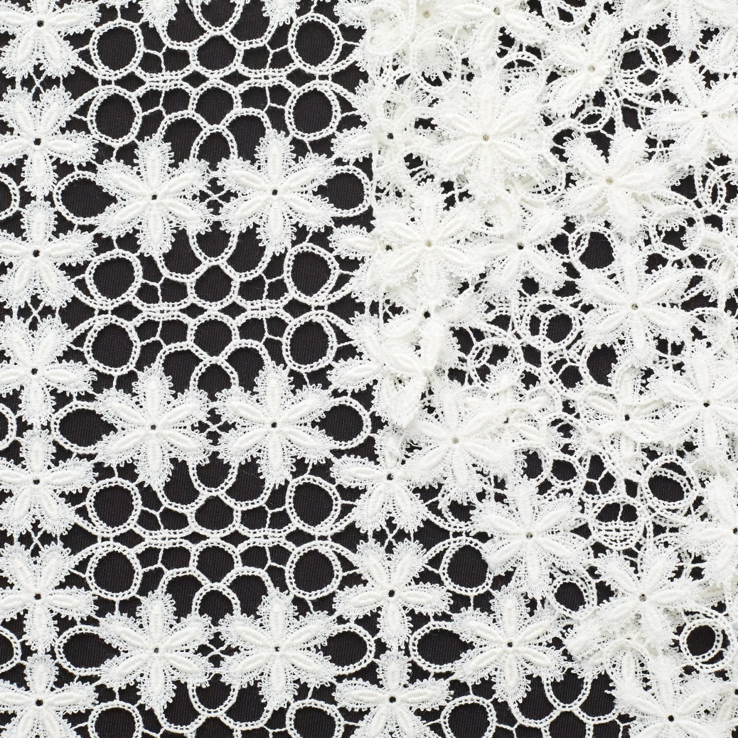 T22H03801 | Venetian Floral Lace 3 T22H03801 | Venetian Floral Lace