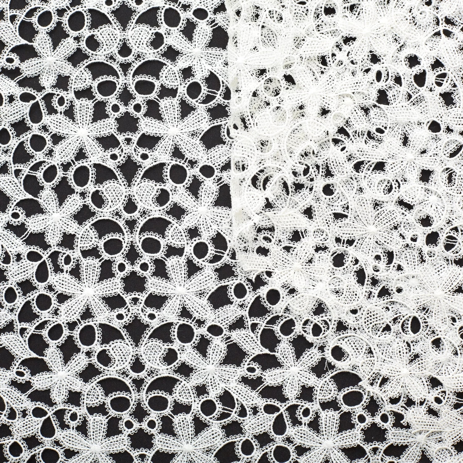 T22H03802 | Venetian Floral Lace 3 T22H03802 | Venetian Floral Lace