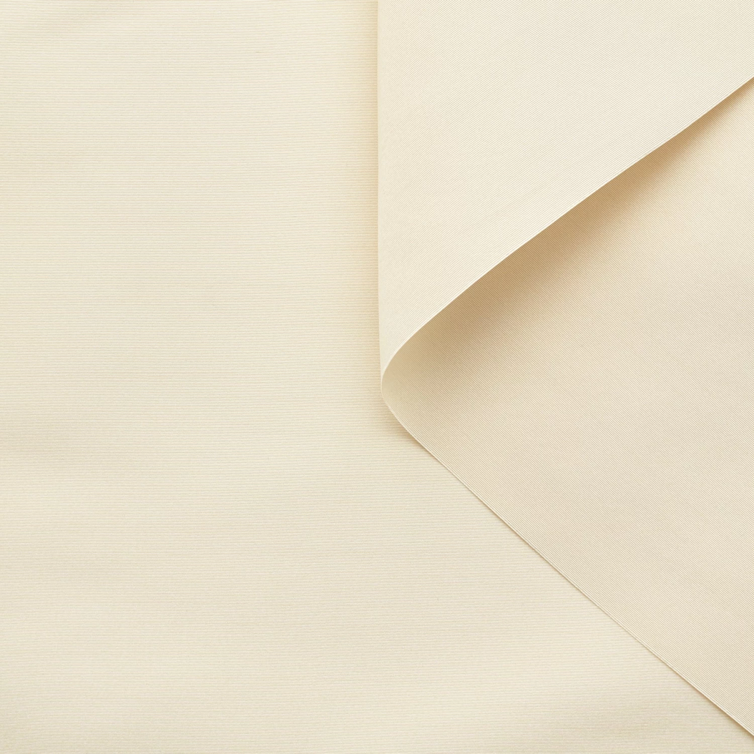 T22H03836 | Shiny Silk Faille 4 T22H03836 | Shiny Silk Faille - Image 2