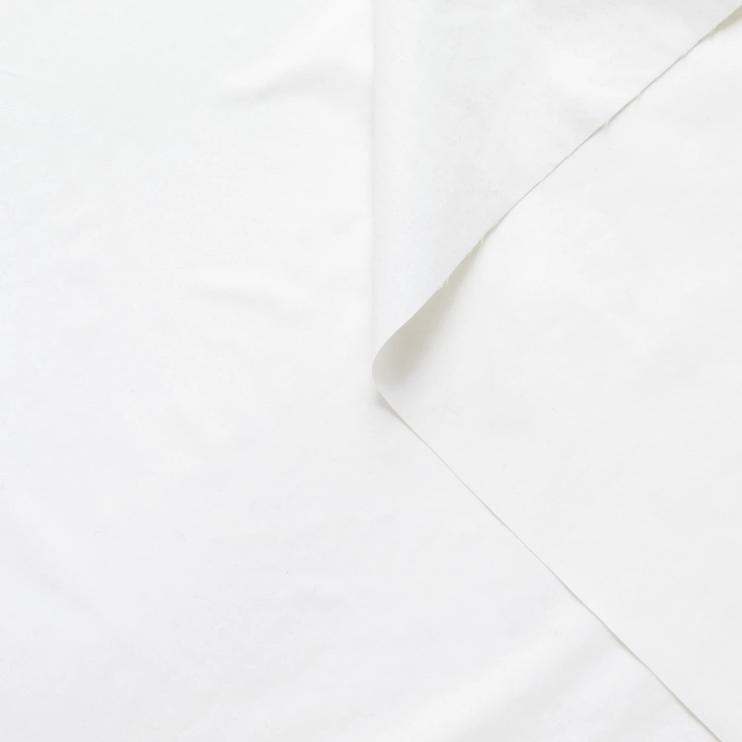 T22J00788 | WR Micro Faille 4 T22J00788 | WR Micro Faille - Image 2