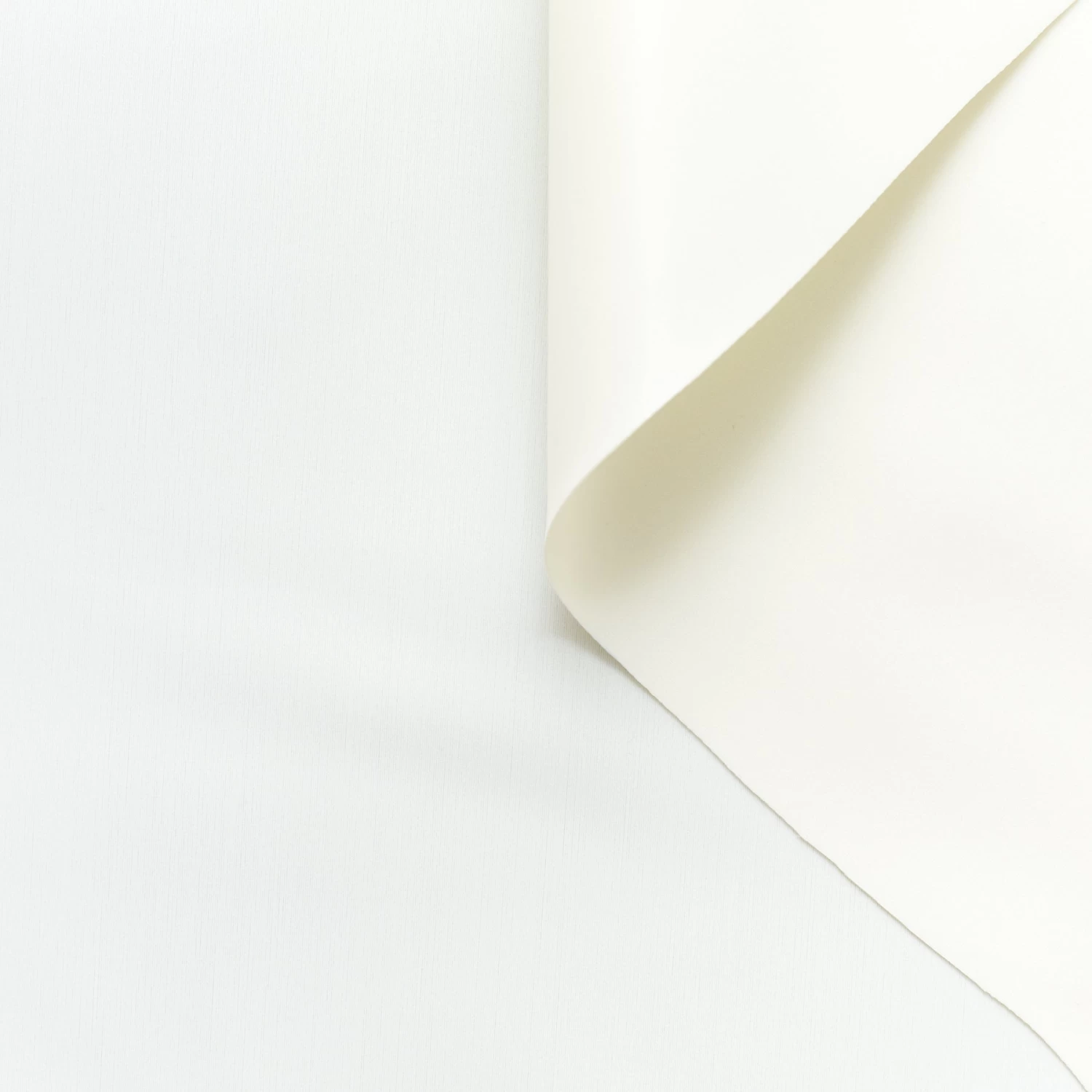 T22N01294 | Laminated Stretch Scuba 6 T22N01294 | Laminated Stretch Scuba - Image 4