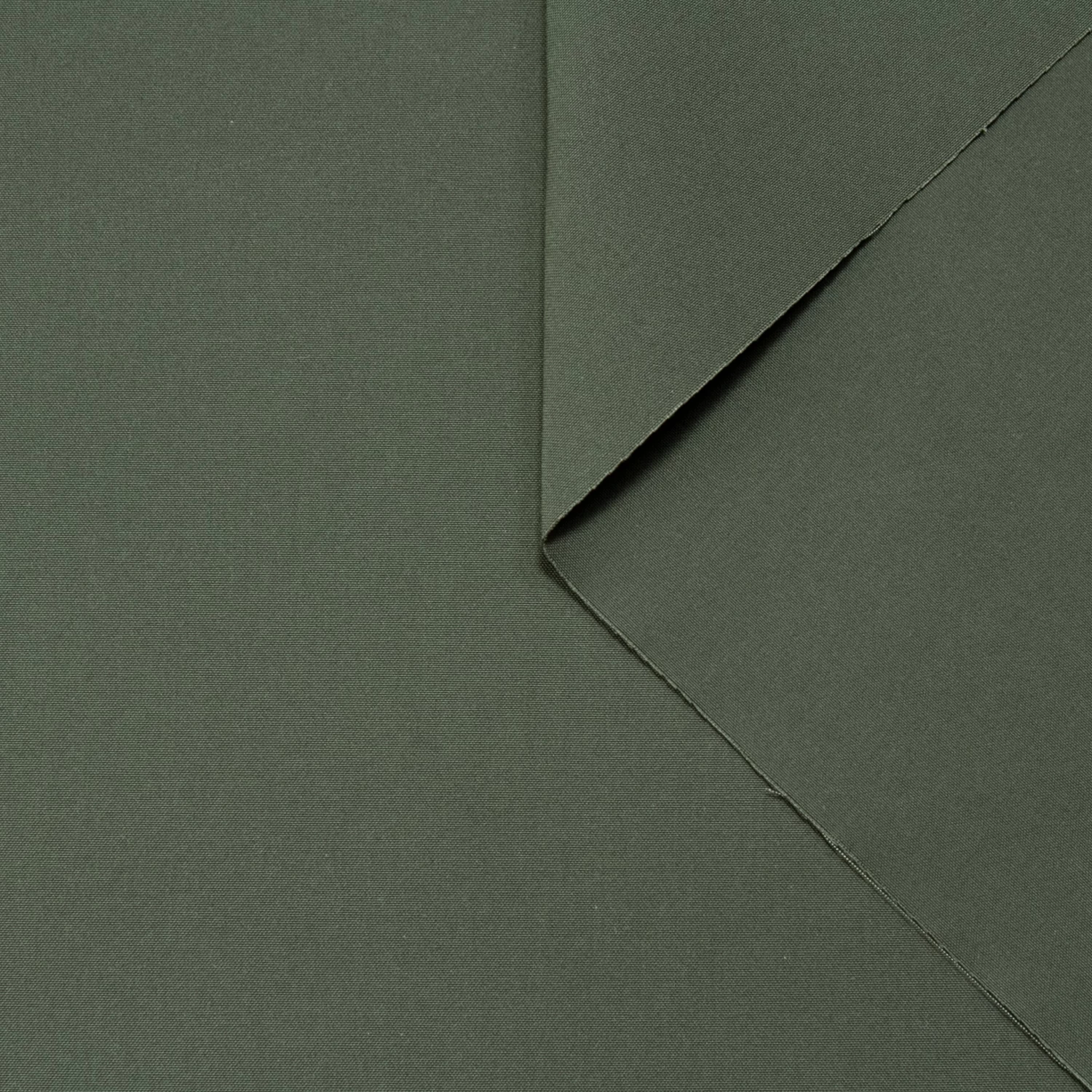 T22V03327 | WR Crispy Cotton Canvas 3 T22V03327 | WR Crispy Cotton Canvas