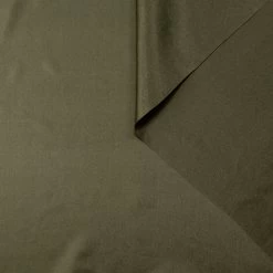 T22V03362 | Sheer Silk Pongee