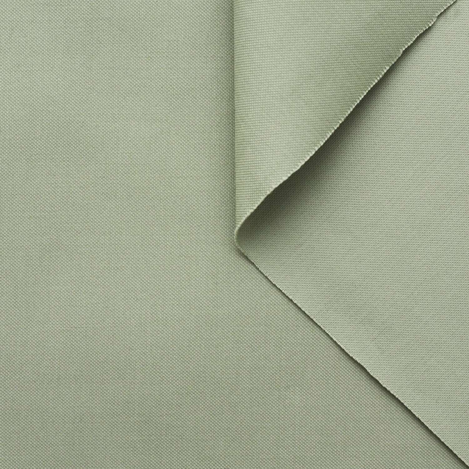 T22X03750 | Oxford Cotton Poplin 4 T22X03750 | Oxford Cotton Poplin - Image 2