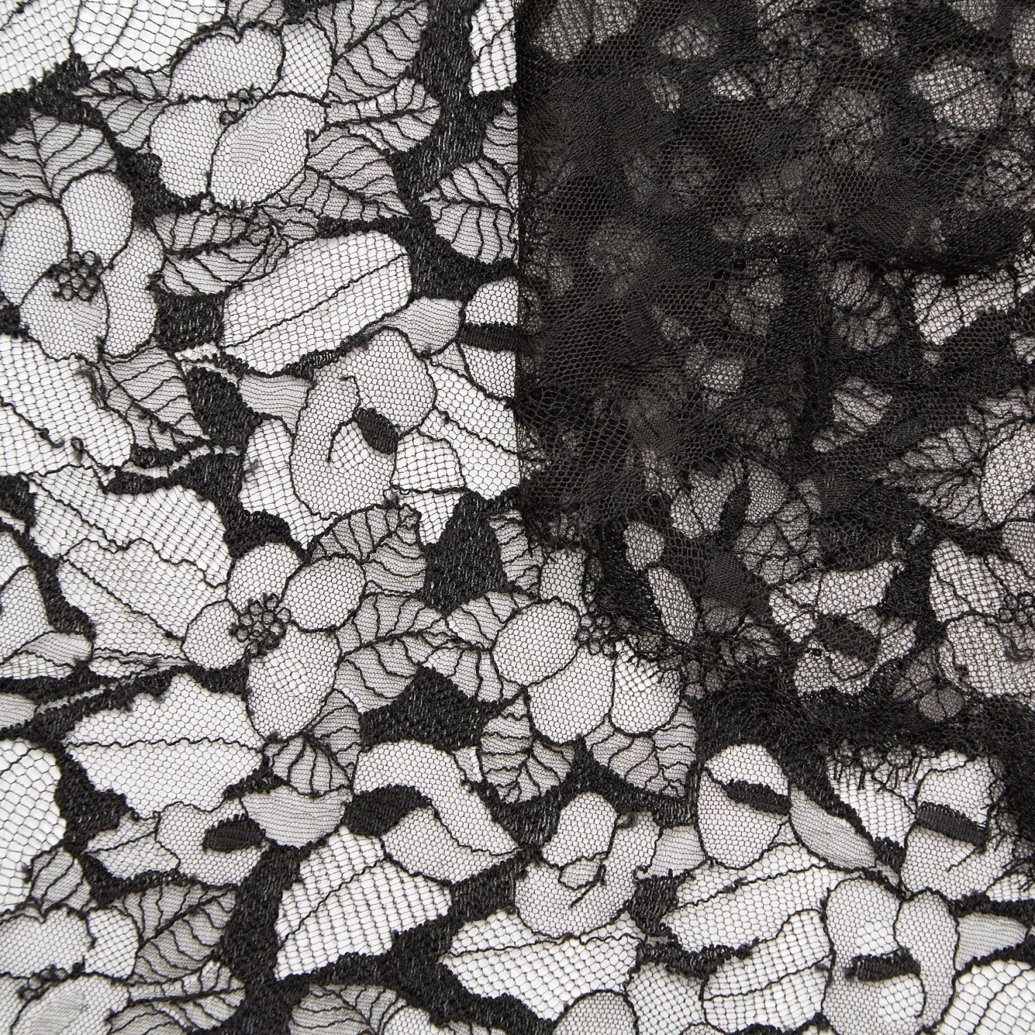 T23A05230 | Scalloped Floral Lace 3 T23A05230 | Scalloped Floral Lace