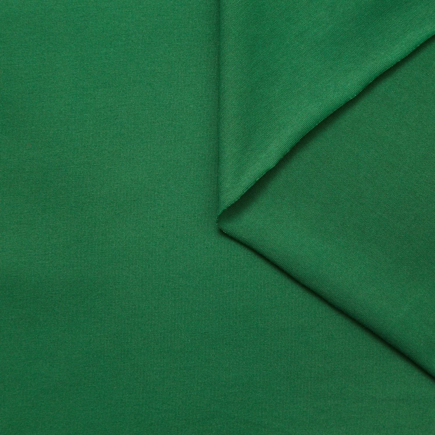 T23A06440 | Cotton Jersey 5 T23A06440 | Cotton Jersey - Image 3