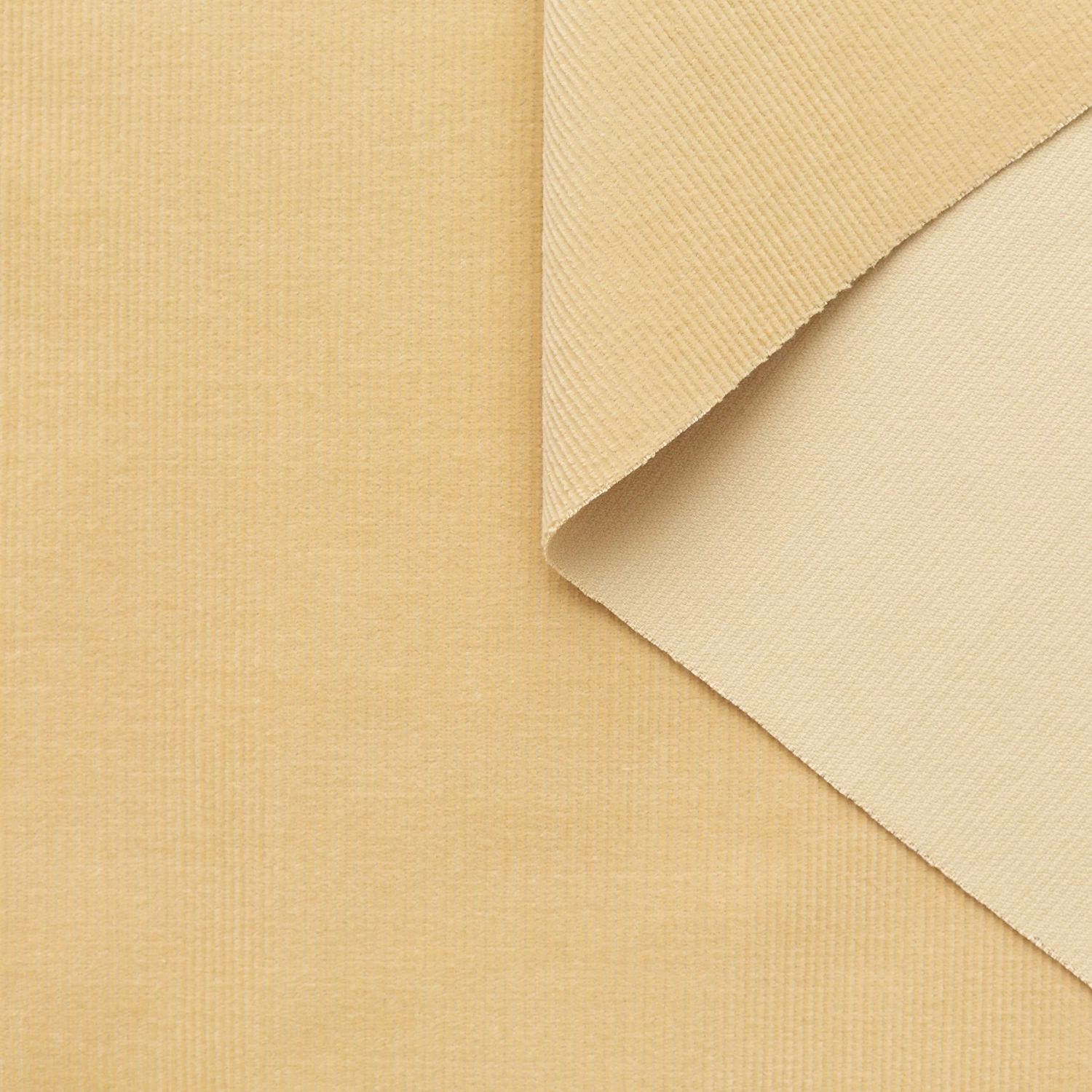 T23C05034 | Feather Cotton Corduroy 4 T23C05034 | Feather Cotton Corduroy - Image 2