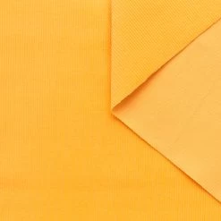 T23C05034 | Feather Cotton Corduroy