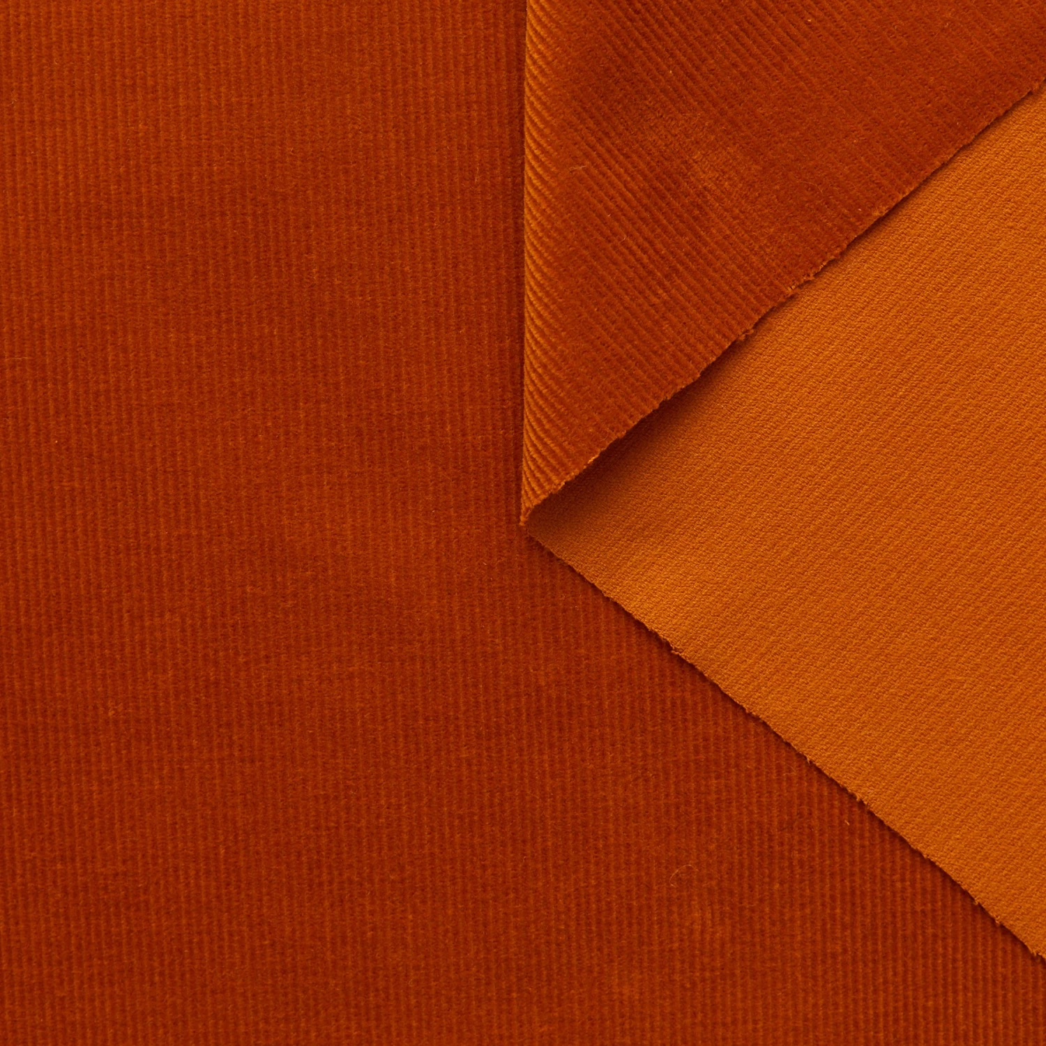 T23C05034 | Feather Cotton Corduroy 6 T23C05034 | Feather Cotton Corduroy - Image 4