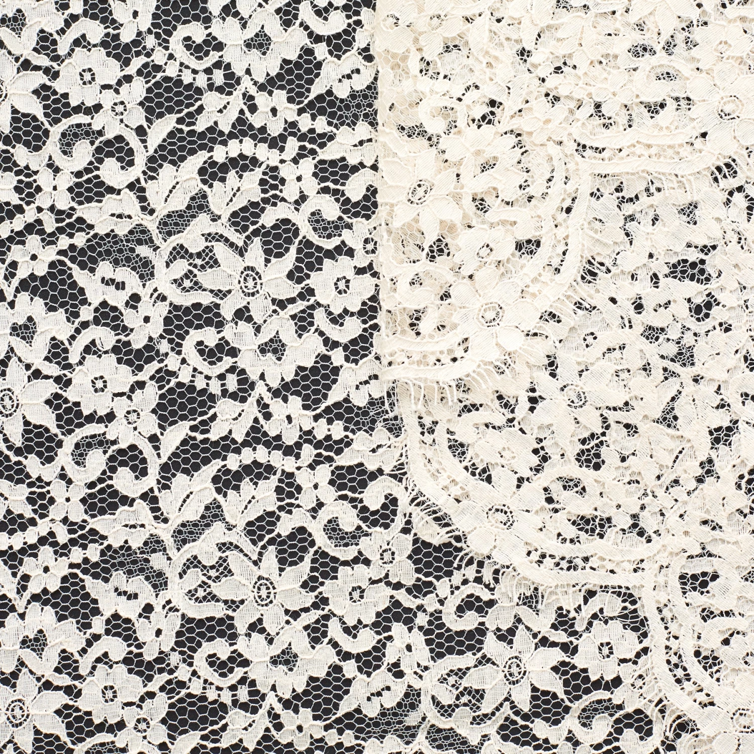 T23M04345 | Scalloped Floral Cotton Lace 3 T23M04345 | Scalloped Floral Cotton Lace