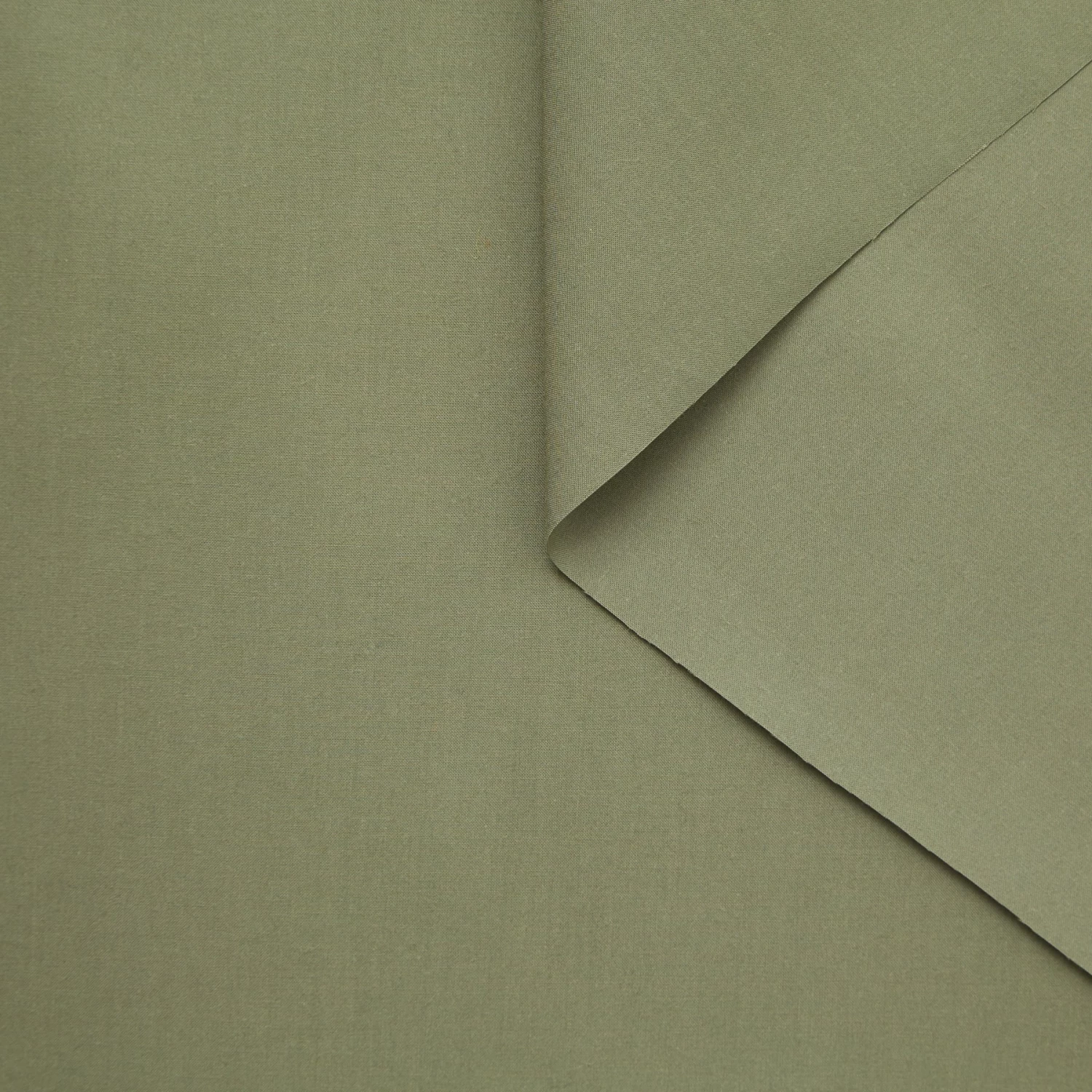 T23V05839 | Crisp Cotton Poplin 5 T23V05839 | Crisp Cotton Poplin - Image 3
