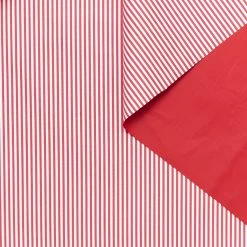 T24A09178 | Coated Stripe Cotton Poplin