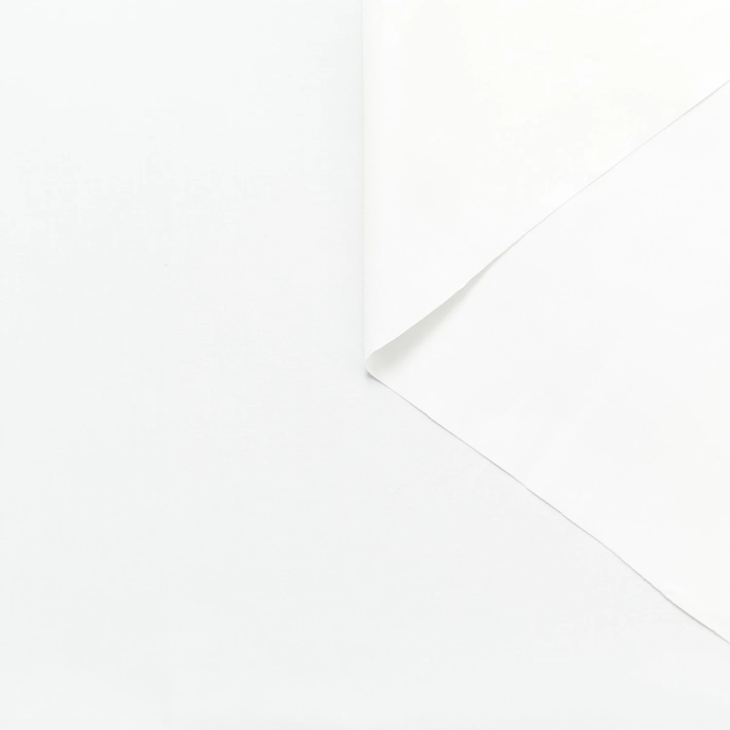 T24B06531 | Papery Cotton Poplin GOTS 3 T24B06531 | Papery Cotton Poplin GOTS