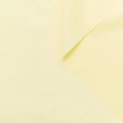 T24B08742 | Cotton Poplin BCI