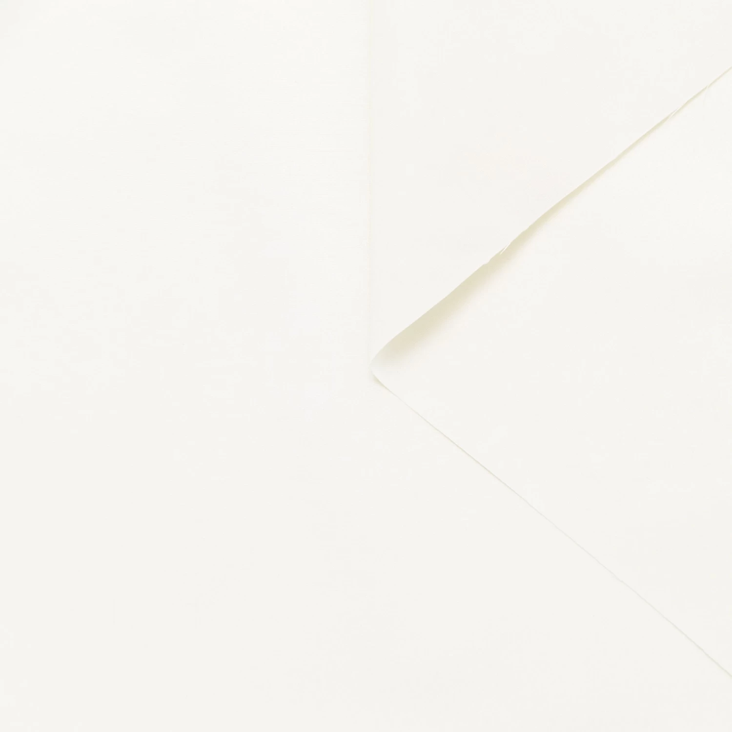 T24B08971 | Taffeta 3 T24B08971 | Taffeta