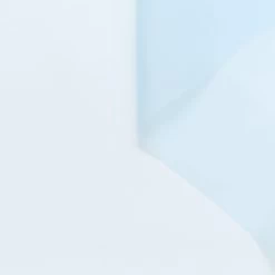 T24B10622 | Silk Organza GOTS