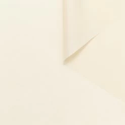 T24B10623 | Washed Silk Pongee GOTS