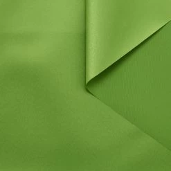 T24C10063 | Stiff Satinated Twill -Nona Source Shop T24C10063 SpindleTree 01