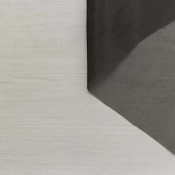 T24C11078 | Technical Organza