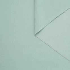 T24C11079 | Shiny Scuba