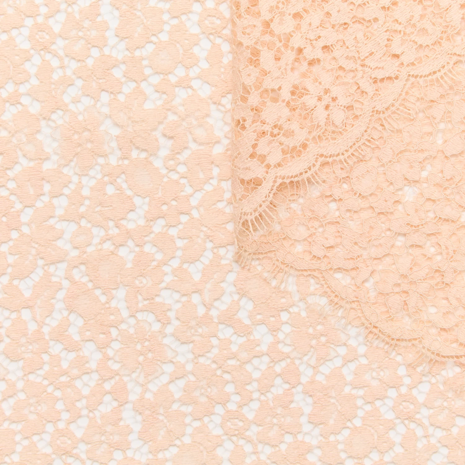 T24D11268 | Floral Lace 3 T24D11268 | Floral Lace