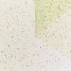 T24M09969 | Sparkling Dots Tulle -Nona Source Shop T24M09969 LettuceGreen 01