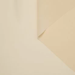 T24M10022 | Silk Crepe Georgette