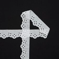 T24M10233 | WavyEmbroidered Galloon 3cm