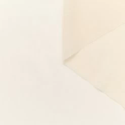 T24M10381 | Cotton Muslin